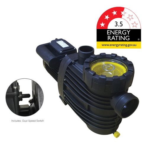 Badu dual speed pump speck pool